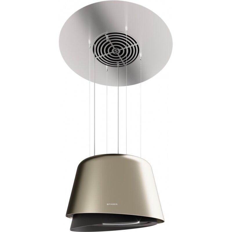 BELLE GOLD/WARM DG MATT KL/2